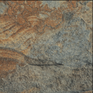 Rust Slate Porcelain 600x900 (20mm)