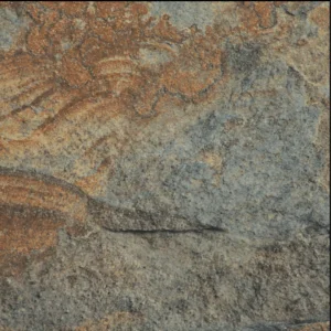 Rust Slate Porcelain 600x900 (20mm)